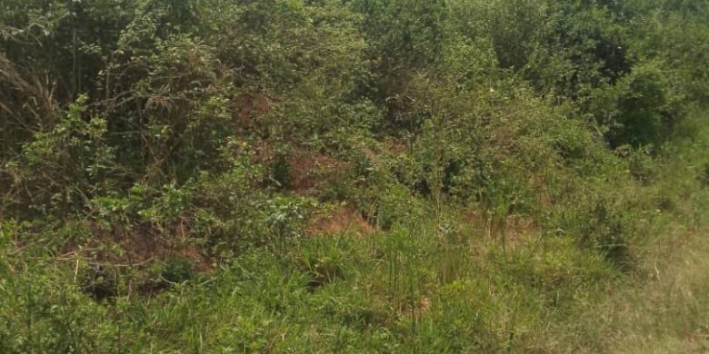 1 Square Mile Of Farmland For Sale In Kayunga On River Nile 4.5m Per Acre