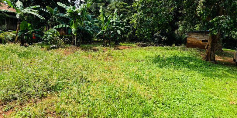 12 Decimals Plot Of Land For Sale In Buziga At 370m