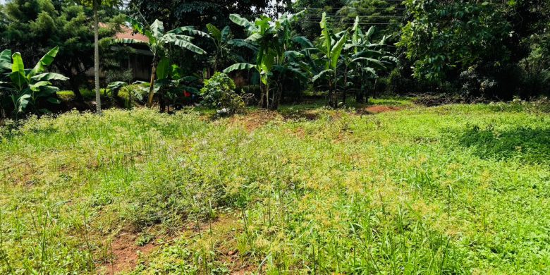 12 Decimals Plot Of Land For Sale In Buziga At 300m