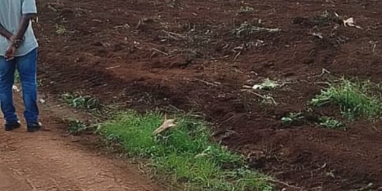 100X100Ft Plot Of Land For Sale In Bwerenga Entebbe At 155m