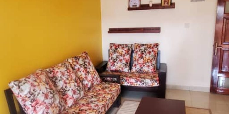 2 Bedrooms Lake View Fully Furnished Apartment For Rent In Muyenga 100 USD Per Day